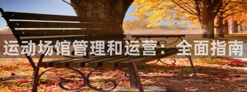 意昂3娱乐：运动场馆管理和运营：全面指南