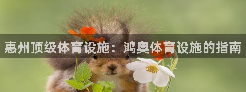 意昂3集团官网首页：惠州顶级体育设施：鸿奥体育设施的
