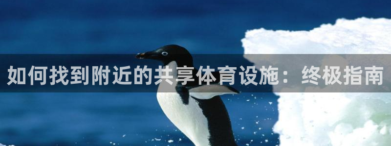 意昂3集团E.ON：如何找到附近的共享体育设施：终极