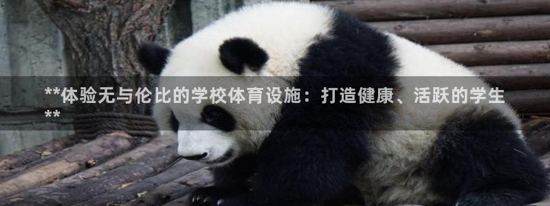 海南意昂体育3：**体验无与伦比的学校体育设施：打造