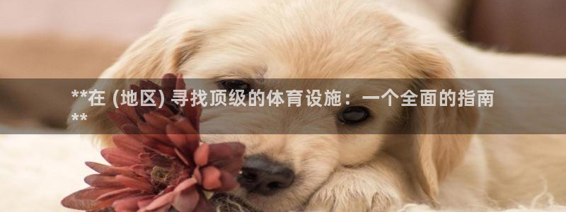 意昂3娱乐首页网站大全：**在 (地区) 寻找顶级的