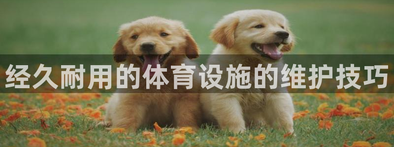 意昂3娱乐代理怎么样：经久耐用的体育设施的维护技巧