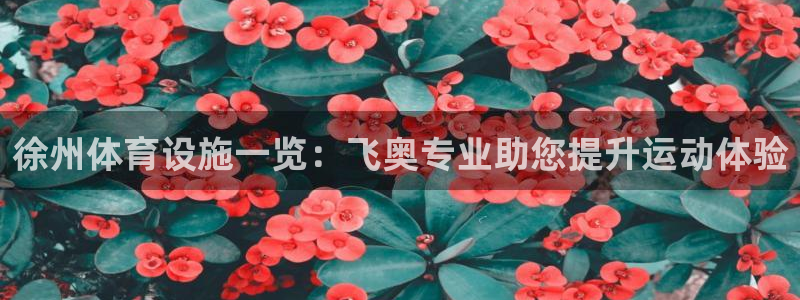 意昂体育3平台注册：徐州体育设施一览：飞奥专业助您提