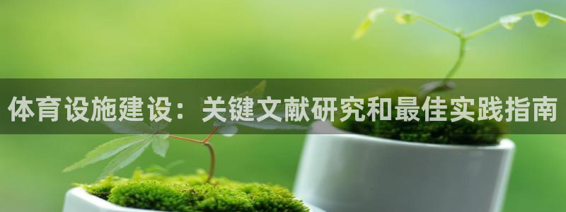意昂体育3招商电话地址：体育设施建设：关键文献研究和