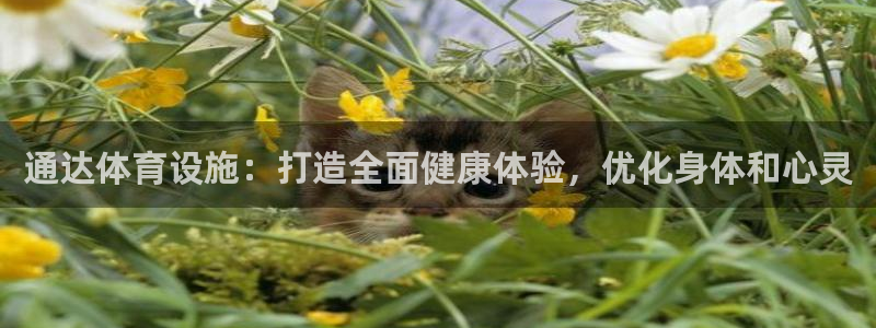 意昂体育3招商电话是多少号码：通达体育设施：打造全面