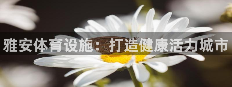 海南意昂体育3：雅安体育设施：打造健康活力城市