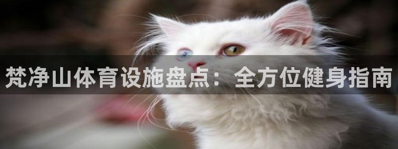 意昂体育3招商电话是多少啊：梵净山体育设施盘点：全方