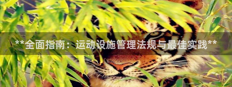 意昂3集团E.ON：**全面指南：运动设施管理法规与