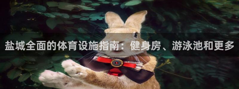 意昂体育3：盐城全面的体育设施指南：健身房、游泳池和