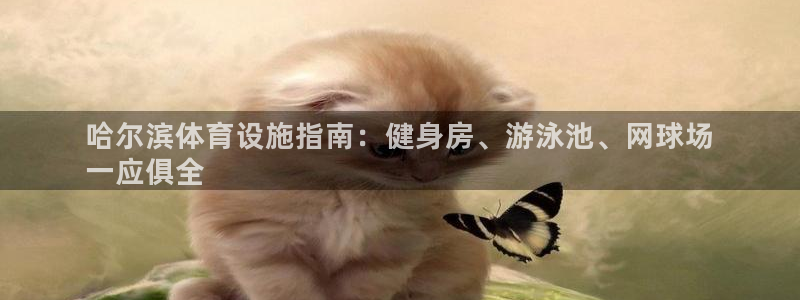 意昂平台体育：哈尔滨体育设施指南：健身房、游泳池、网