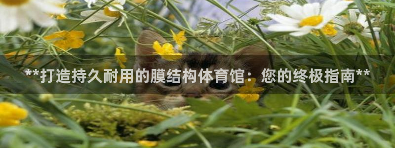意昂体育3平台APP：**打造持久耐用的膜结构体育馆
