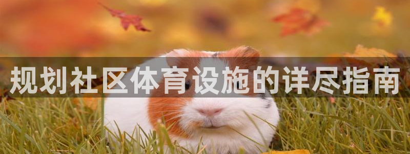 意昂3娱乐：规划社区体育设施的详尽指南