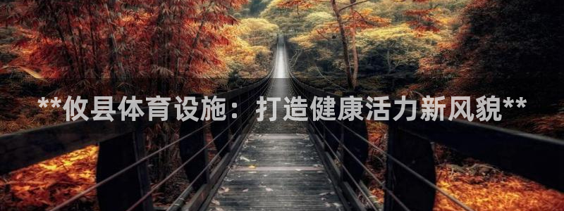 意昂3娱乐：**攸县体育设施：打造健康活力新风貌**