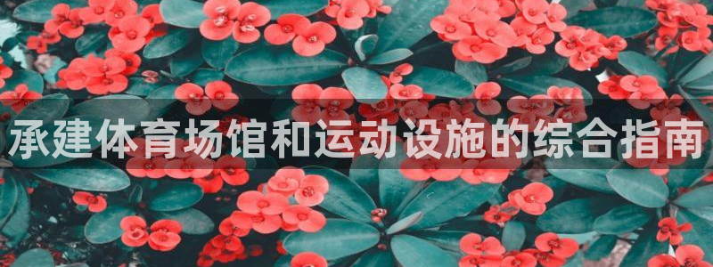 意昂体育3平台是正规平台吗：承建体育场馆和运动设施的