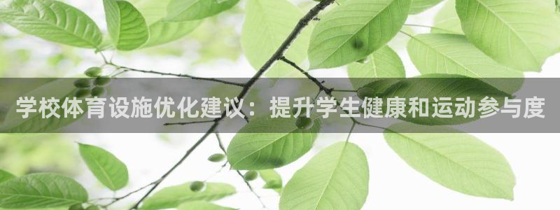 意昂3娱乐平台：学校体育设施优化建议：提升学生健康和