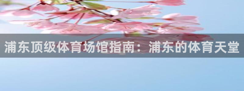 意昂体育3联系电话：浦东顶级体育场馆指南：浦东的体育