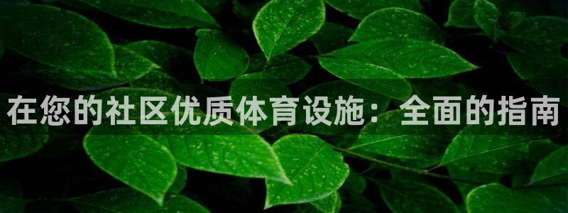 意昂3神州：在您的社区优质体育设施：全面的指南
