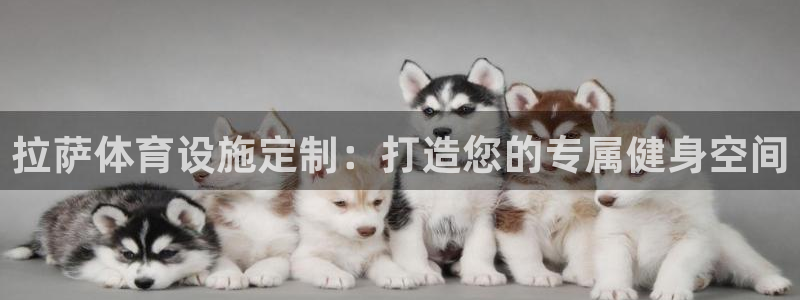 意昂体育3招商电话号码是多少号：拉萨体育设施定制：打