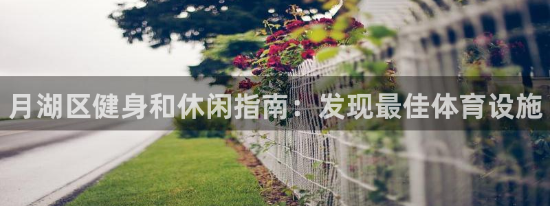 意昂3官方：月湖区健身和休闲指南：发现最佳体育设施