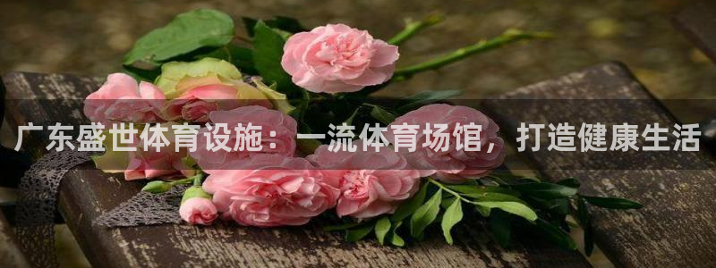 意昂体育3招商电话号码查询是多少：广东盛世体育设施：