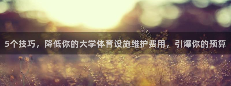 意昂体育3娱乐：5个技巧，降低你的大学体育设施维护费