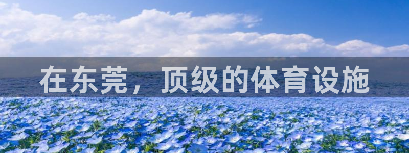意昂体育3平台是正规平台吗安全吗：在东莞，顶级的体育
