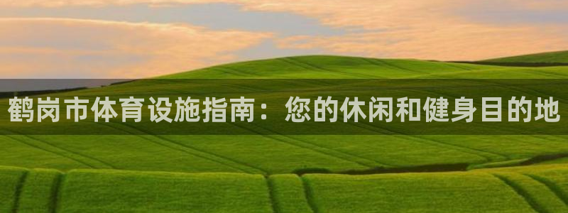 意昂体育3招商电话是多少啊：鹤岗市体育设施指南：您的