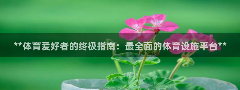 意昂3娱乐：**体育爱好者的终极指南：最全面的体育设