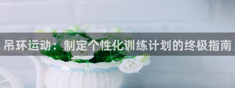 意昂体育3平台注册要钱吗安全吗：吊环运动：制定个性化