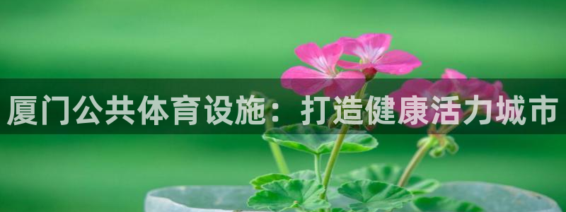 意昂3娱乐平台：厦门公共体育设施：打造健康活力城市
