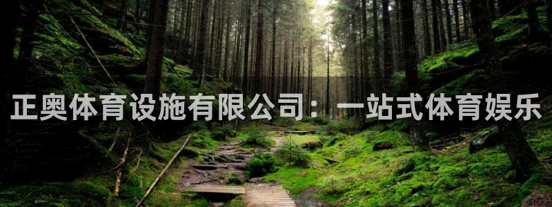 意昂3五金厂：正奥体育设施有限公司：一站式体育娱乐