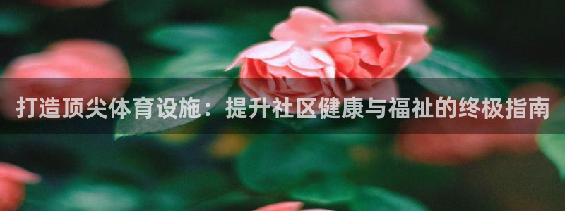 德国意昂3集团：打造顶尖体育设施：提升社区健康与福祉