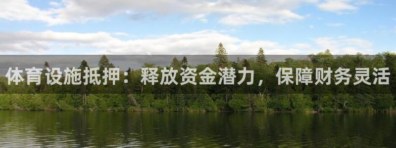 意昂3娱乐：体育设施抵押：释放资金潜力，保障财务灵活