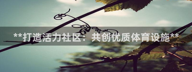 意昂体育3联系电话：**打造活力社区：共创优质体育设