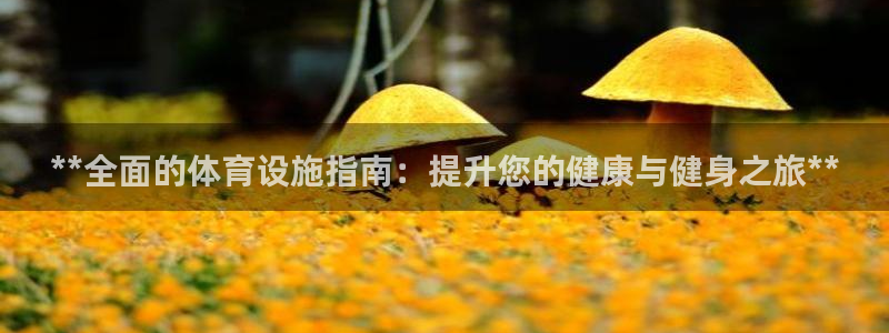 意昂体育3招商：**全面的体育设施指南：提升您的健康