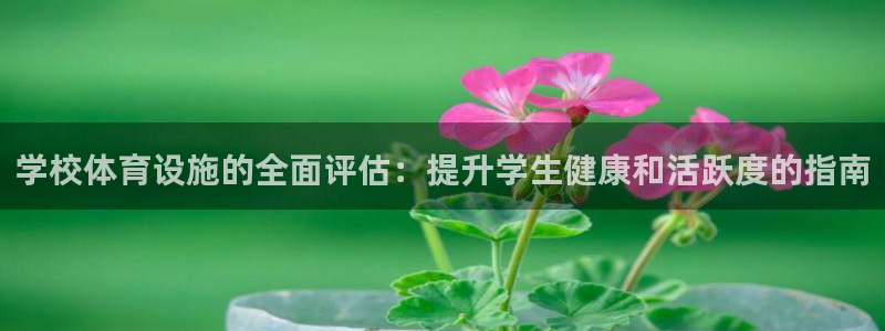 海南意昂体育3：学校体育设施的全面评估：提升学生健康
