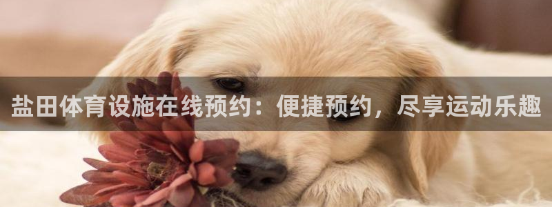 注册意昂3：盐田体育设施在线预约：便捷预约，尽享运动