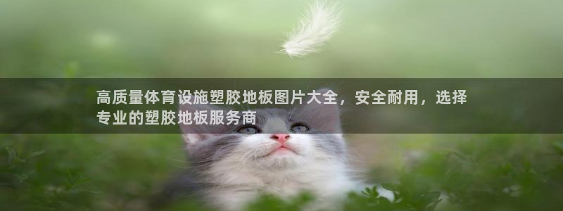 意昂集团官网：高质量体育设施塑胶地板图片大全，安全耐