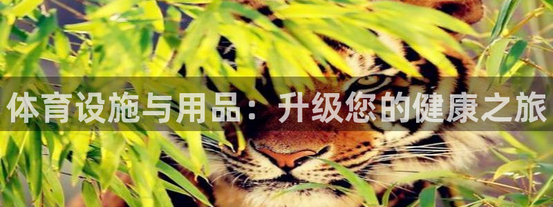 意昂体育3招商电话号码是多少：体育设施与用品：升级您