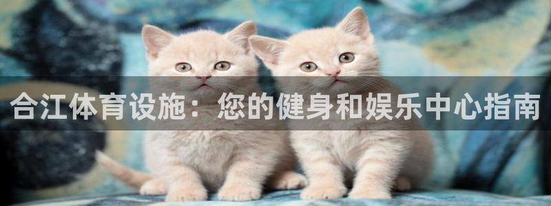 意昂体育3注册：合江体育设施：您的健身和娱乐中心指南