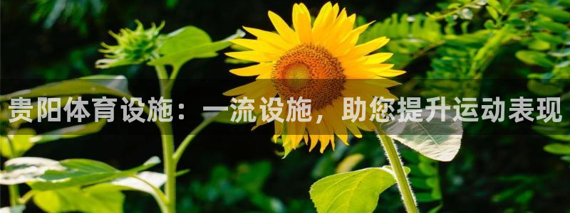 意昂体育3平台假的吗是真的吗：贵阳体育设施：一流设施