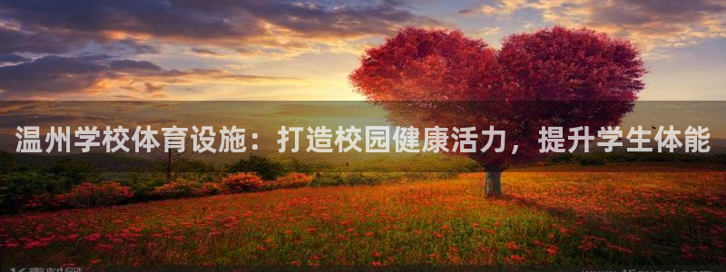 意昂3开户：温州学校体育设施：打造校园健康活力，提升