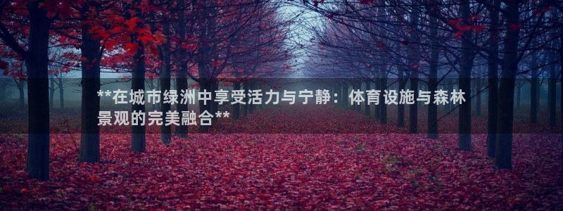 意昂3开户：**在城市绿洲中享受活力与宁静：体育设施