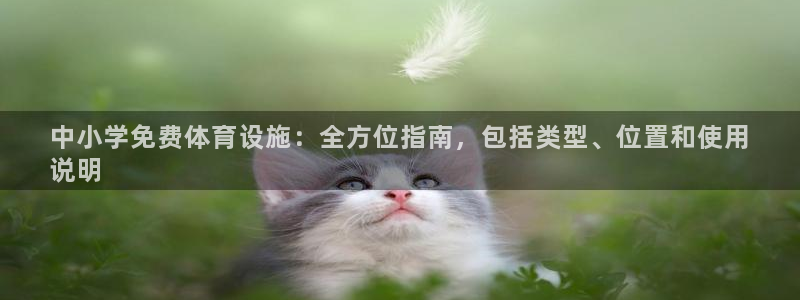 意昂3神州：中小学免费体育设施：全方位指南，包括类型