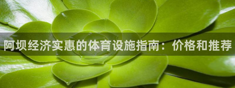 意昂体育3注册：阿坝经济实惠的体育设施指南：价格和推