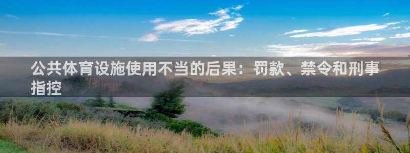 意昂体育3平台注册要钱吗：公共体育设施使用不当的后果