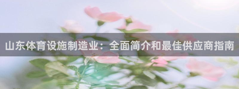 意昂体育3招商电话号码：山东体育设施制造业：全面简介