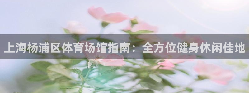 意昂3官方：上海杨浦区体育场馆指南：全方位健身休闲佳