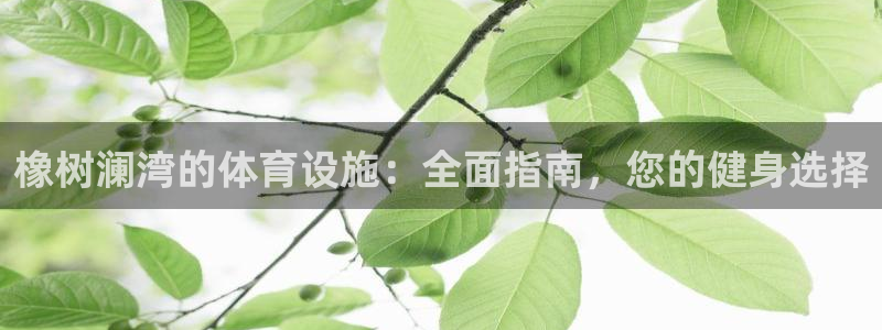 意昂体育3开户：橡树澜湾的体育设施：全面指南，您的健