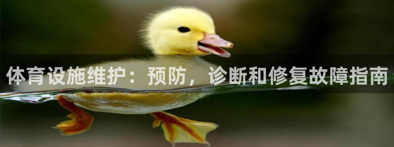 意昂3集团简介：体育设施维护：预防，诊断和修复故障指